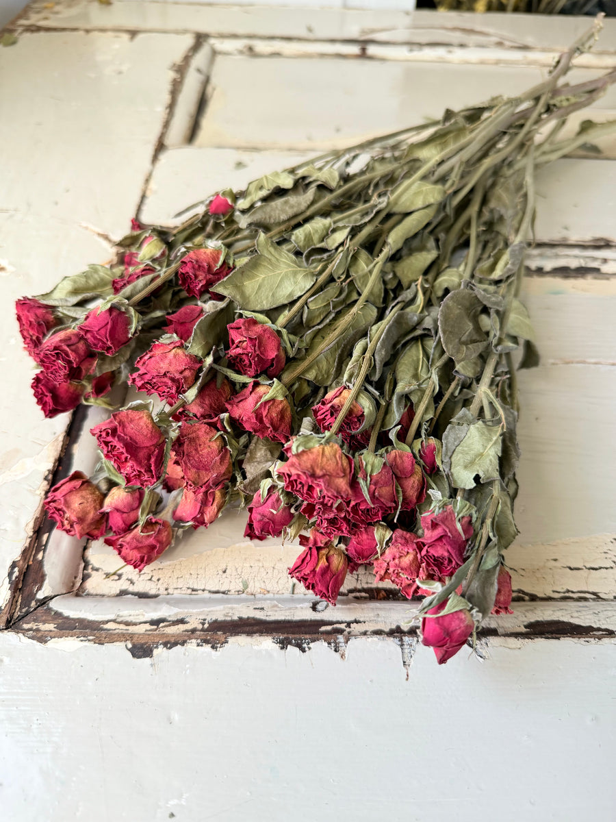 Naturally Dried Rose