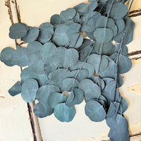 直销店 &amp; 样品 [花茎 / 绿叶]