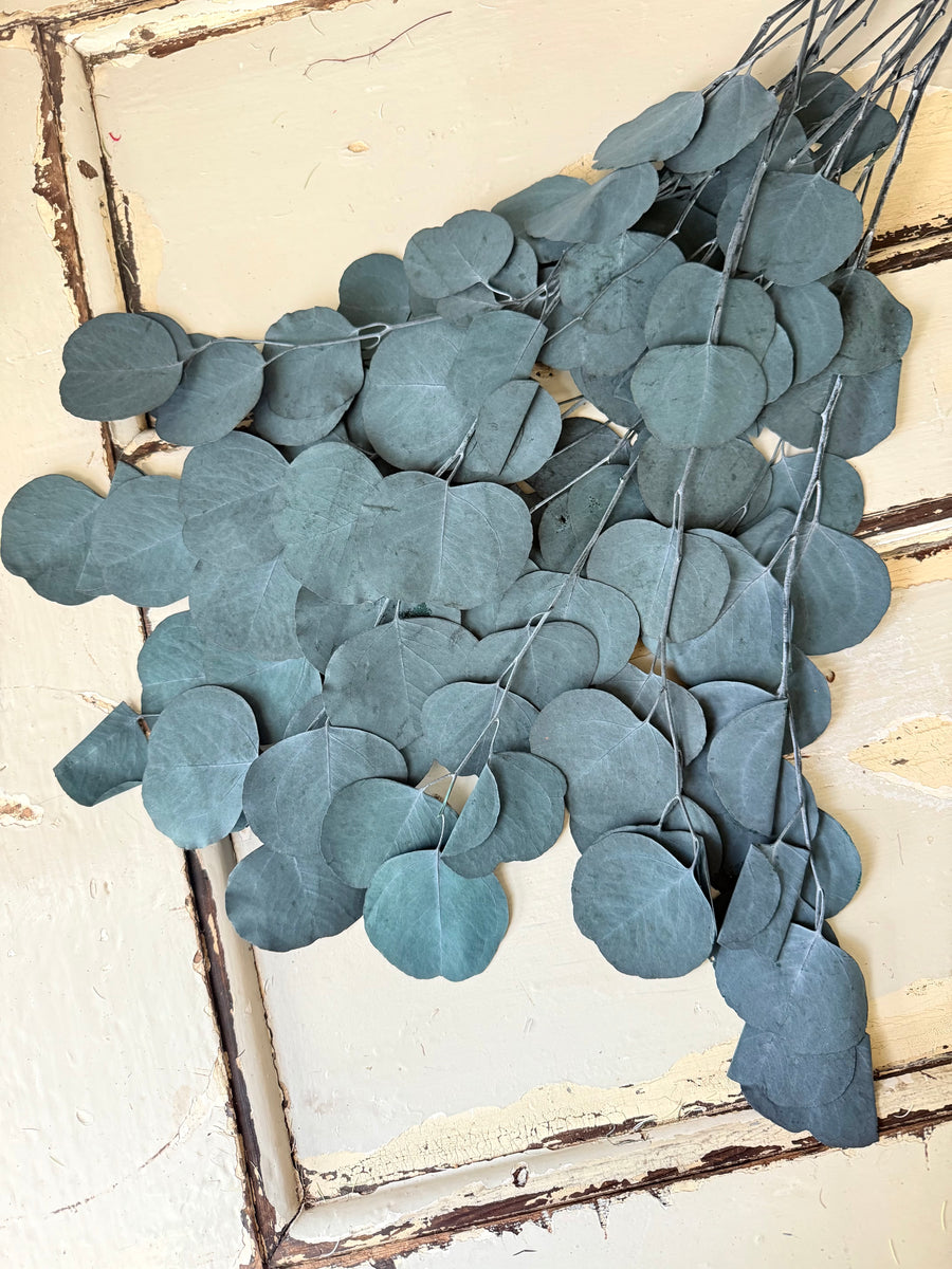 直销店 & 样品 [花茎 / 绿叶]