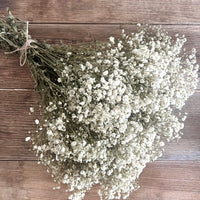 Everlasting Preserved Baby's Breath Bouquet [Mini/SM/ML]