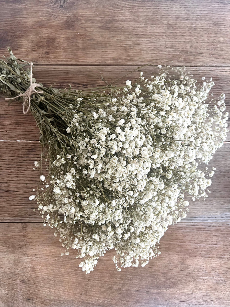 Everlasting Preserved Baby's Breath Bouquet [Mini/SM/ML]