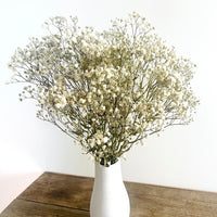 Everlasting Preserved Baby's Breath Bouquet [Mini/SM/ML]