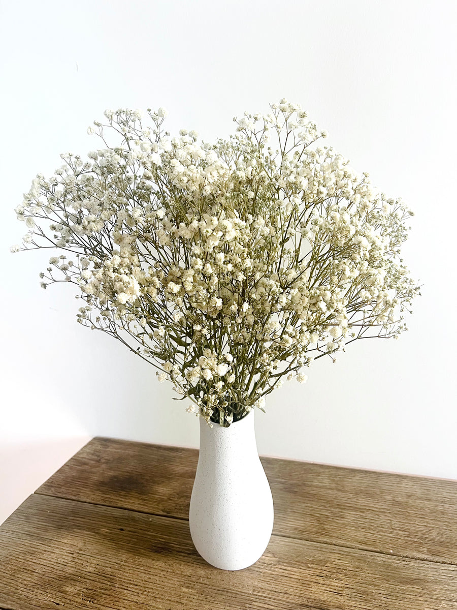 Everlasting Preserved Baby's Breath Bouquet [Mini/SM/ML]