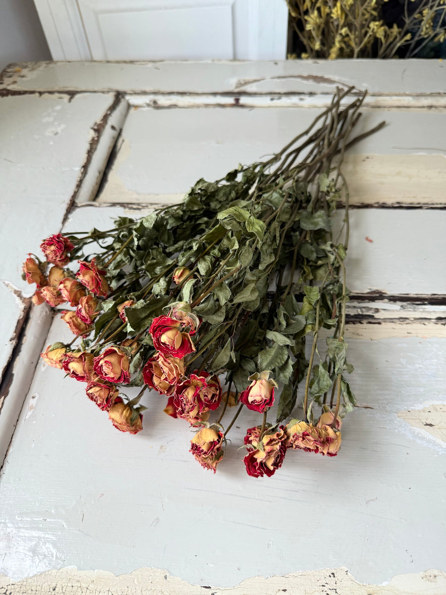 Naturally Dried Rose