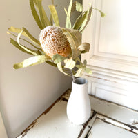 Naturally Dried Banksia & King Protea & Protea - Australian Native