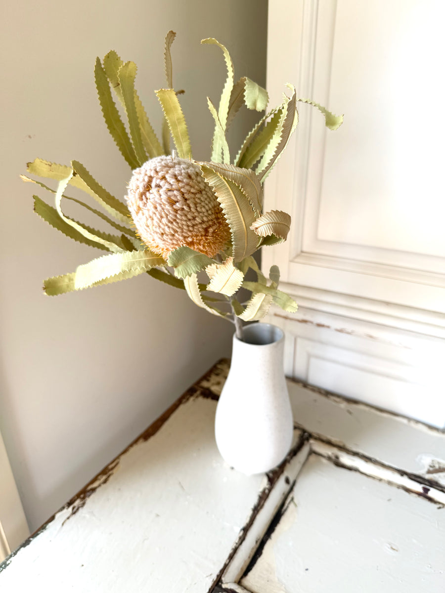 Naturally Dried Banksia & King Protea & Protea - Australian Native