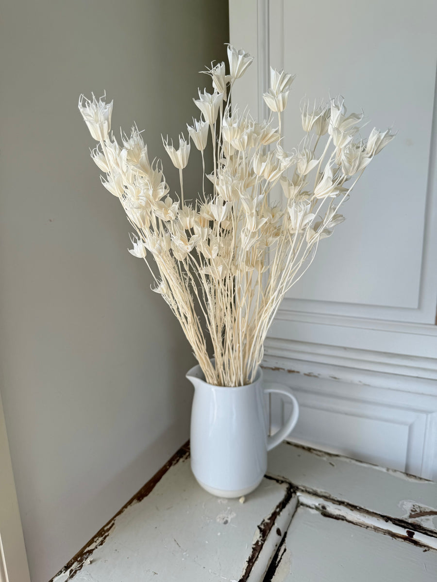 Dried Nigella Flower