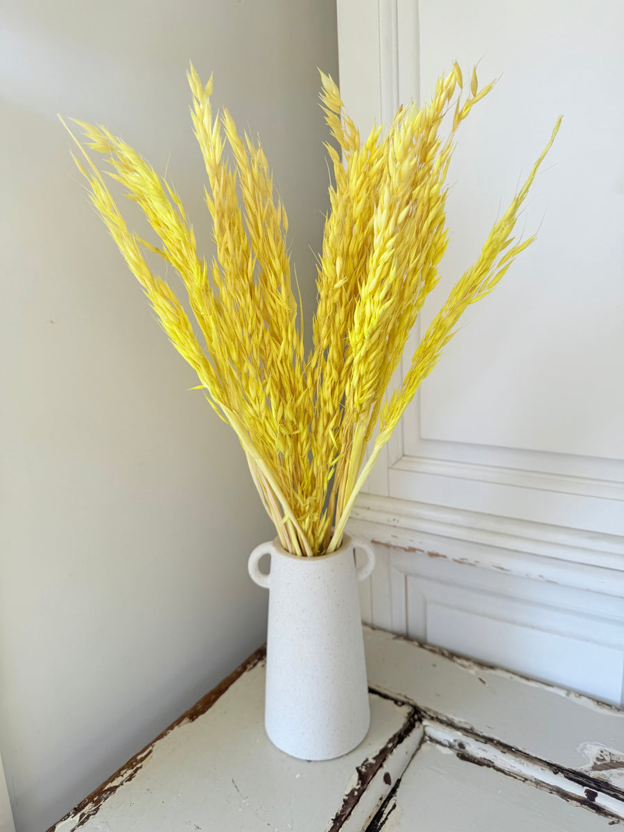 Naturally Dried / Coloured Oat / Avena