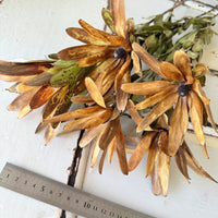 Outlet & Sample [flower stems / greenery]