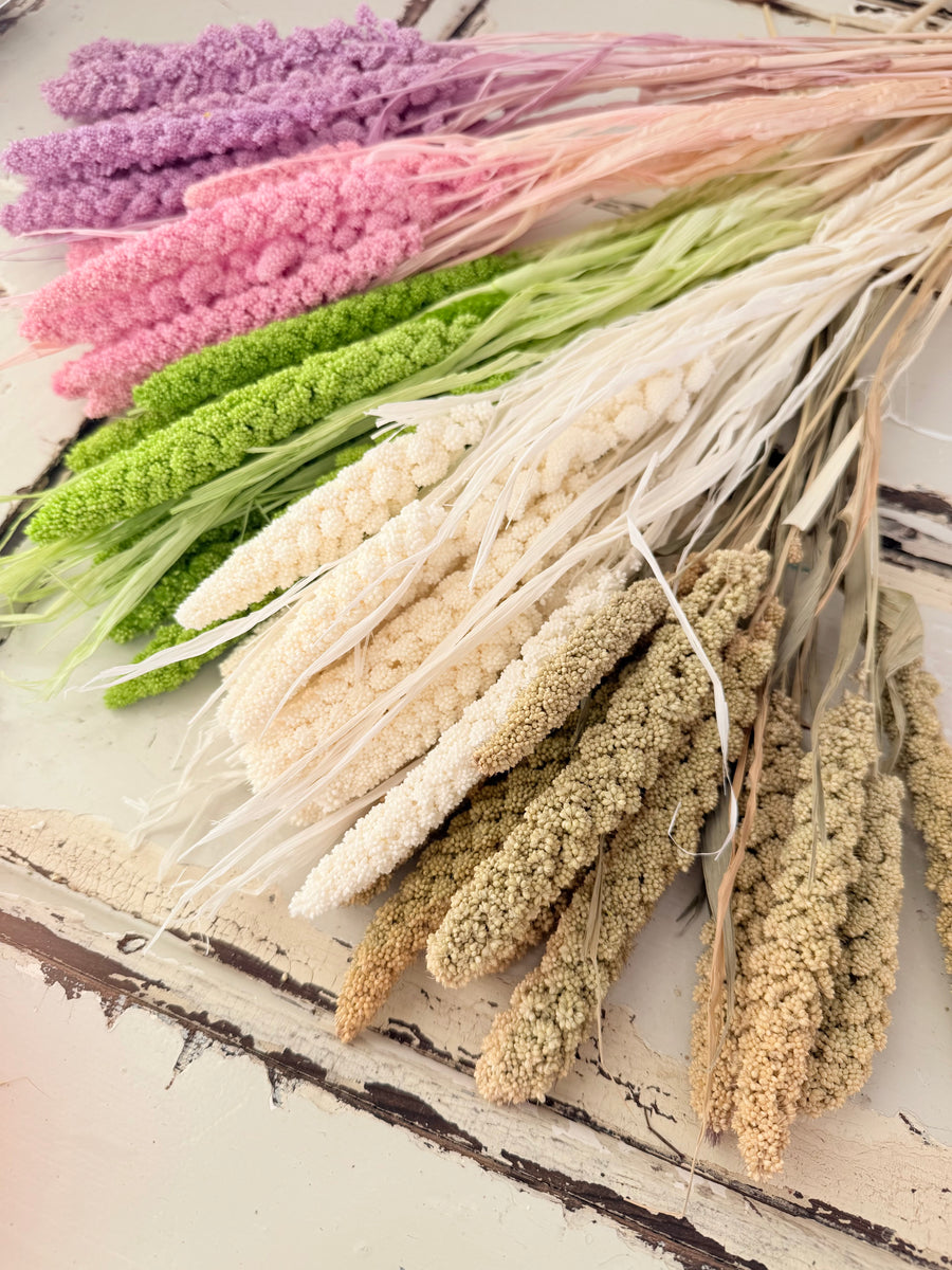 Dried Setaria / Foxtail Millet