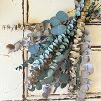 Olive Grove Preserved Eucalyptus Bouquet [M] with / without leucadendron