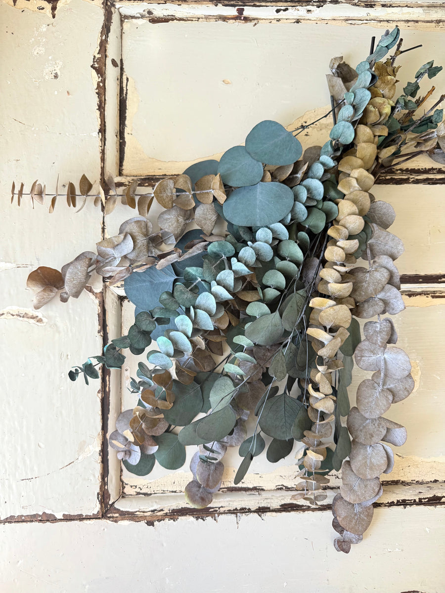 Olive Grove Preserved Eucalyptus Bouquet [M] with / without leucadendron