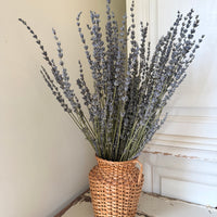 Naturally Dried Lavender bunch - blue purple
