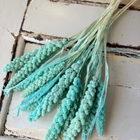 Outlet & Sample [flower stems / greenery]