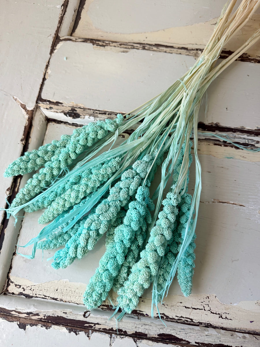 Outlet & Sample [flower stems / greenery]