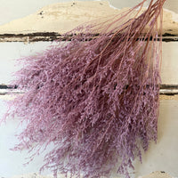 Soft / Vivid Hue Preserved Limonium | Misty | Sea Lavender
