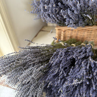 Naturally Dried Lavender bunch - blue purple