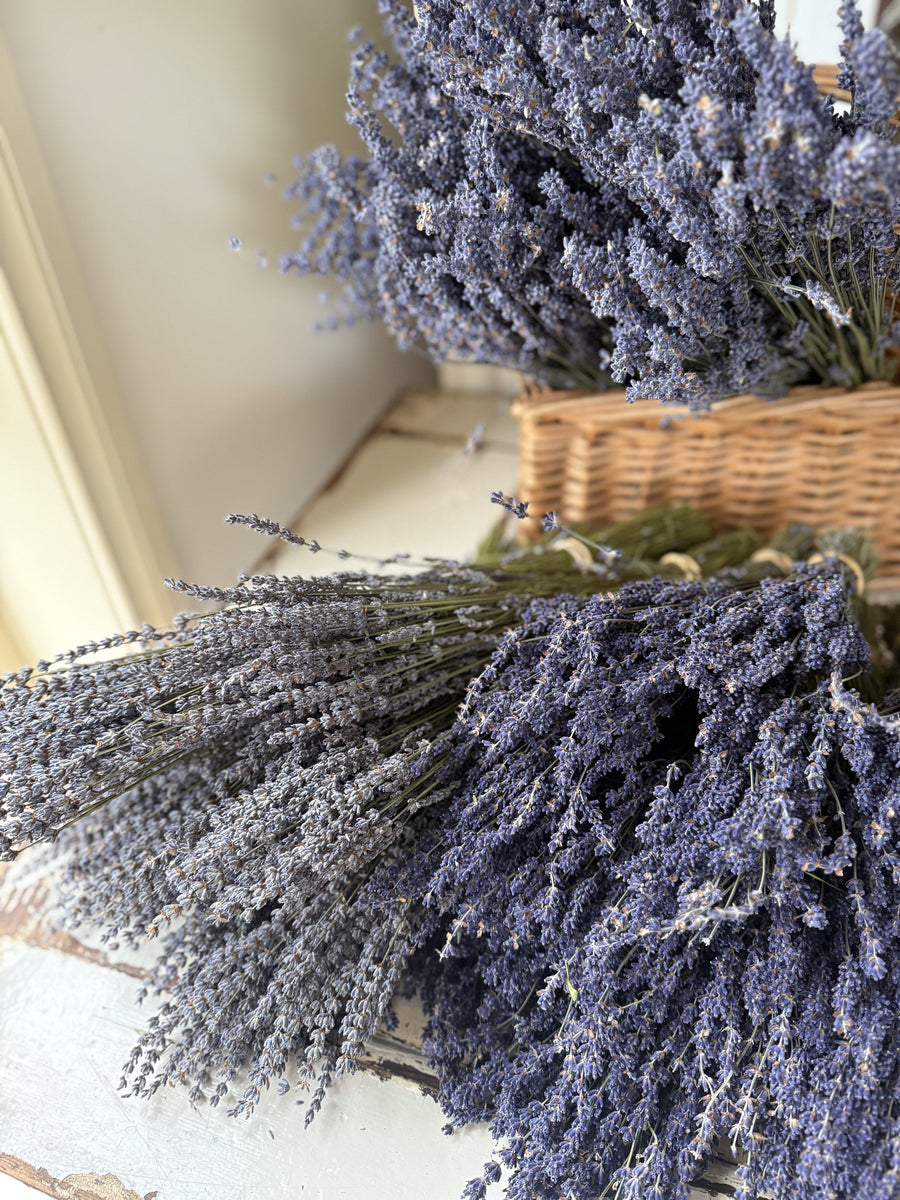 Naturally Dried Lavender bunch - blue purple