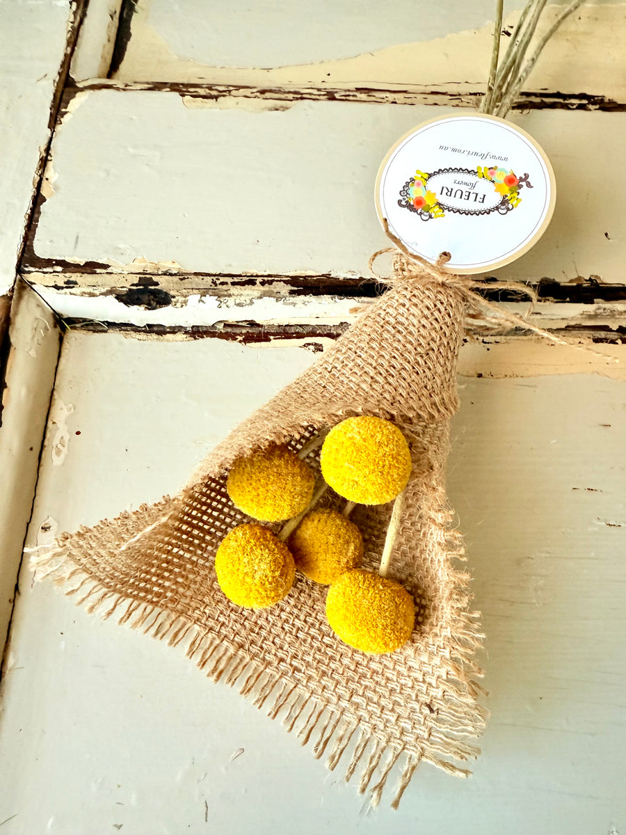 Everlasting Naturally Dried Billy Button Bouquet