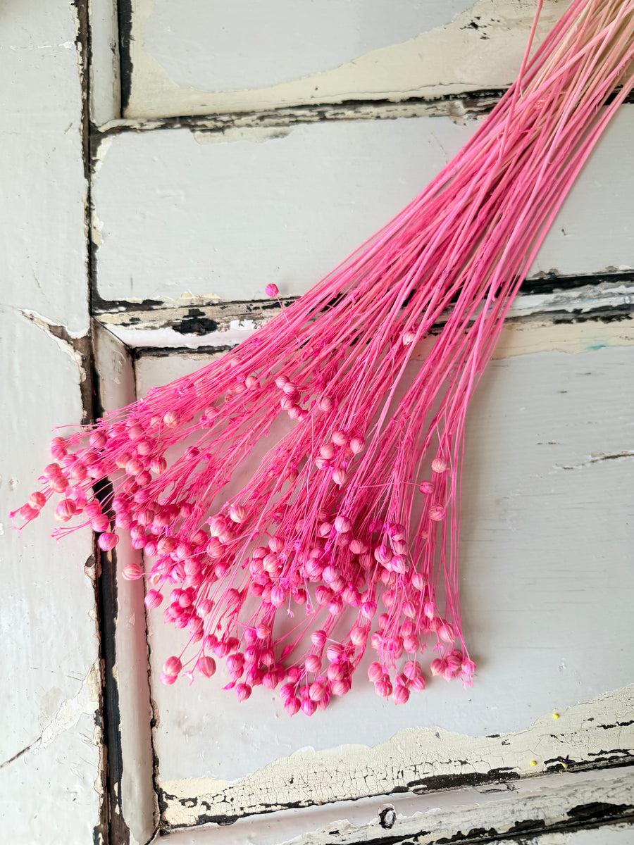 Outlet & Sample [flower stems / greenery]