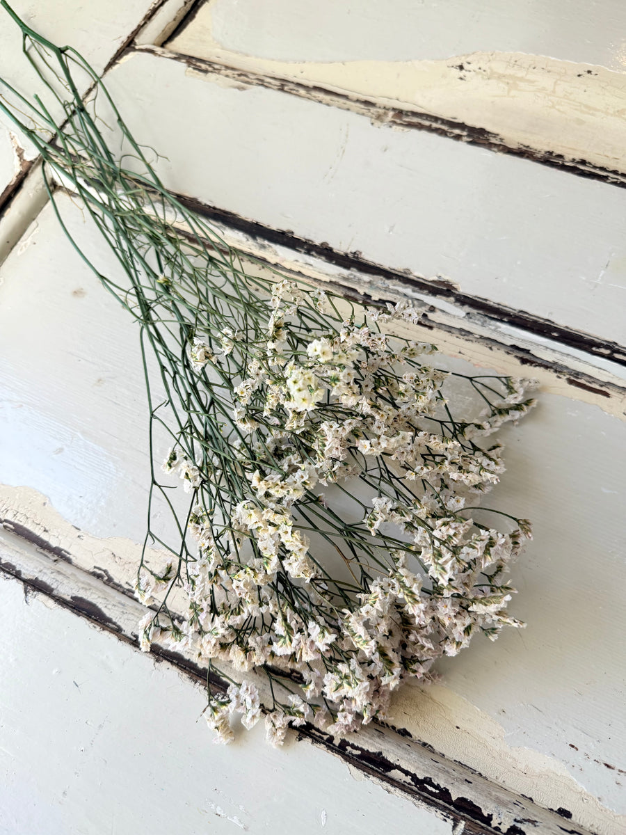 Preserved Crystal Grass / Caspea