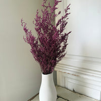Naturally Dried  / Prserved Misty | Limonium | Sea Lavender