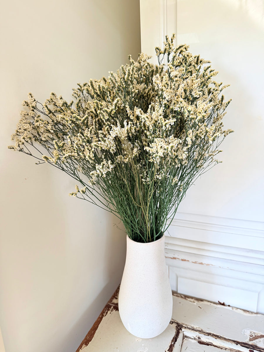 Preserved Crystal Grass / Caspea