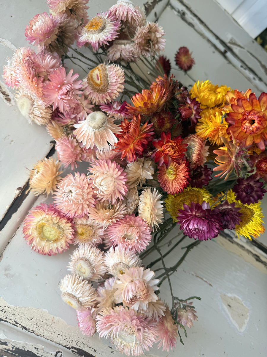 Naturally Dried Helichrysum - Everlasting / Paper Daisy / Strawflower - stems / heads