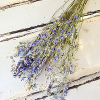 [Natural & Deep Colours] Outlet & Samples