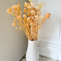 Outlet & Sample [flower stems / greenery]