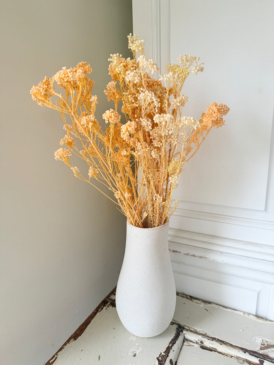 Outlet & Sample [flower stems / greenery]