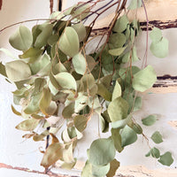 [Deep & Natural Colours] Outlet & Samples