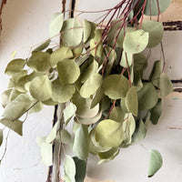 [Deep & Natural Colours] Outlet & Samples