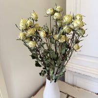 Dried Spray Mini Rose