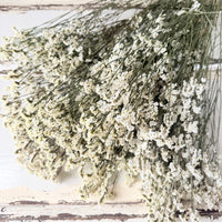Preserved Crystal Grass / Caspea