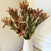 Outlet & Sample [flower stems / greenery]