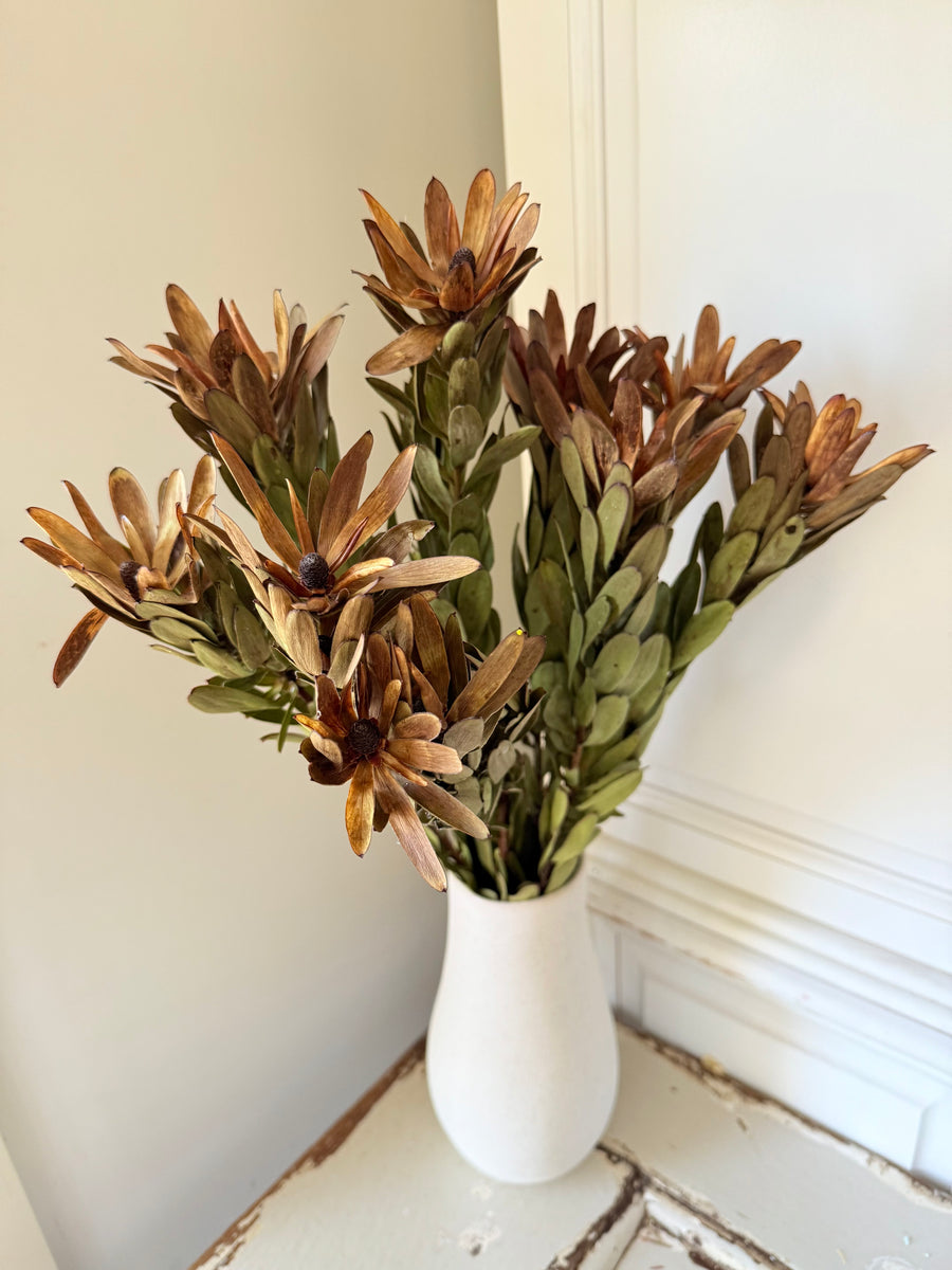 Outlet & Sample [flower stems / greenery]