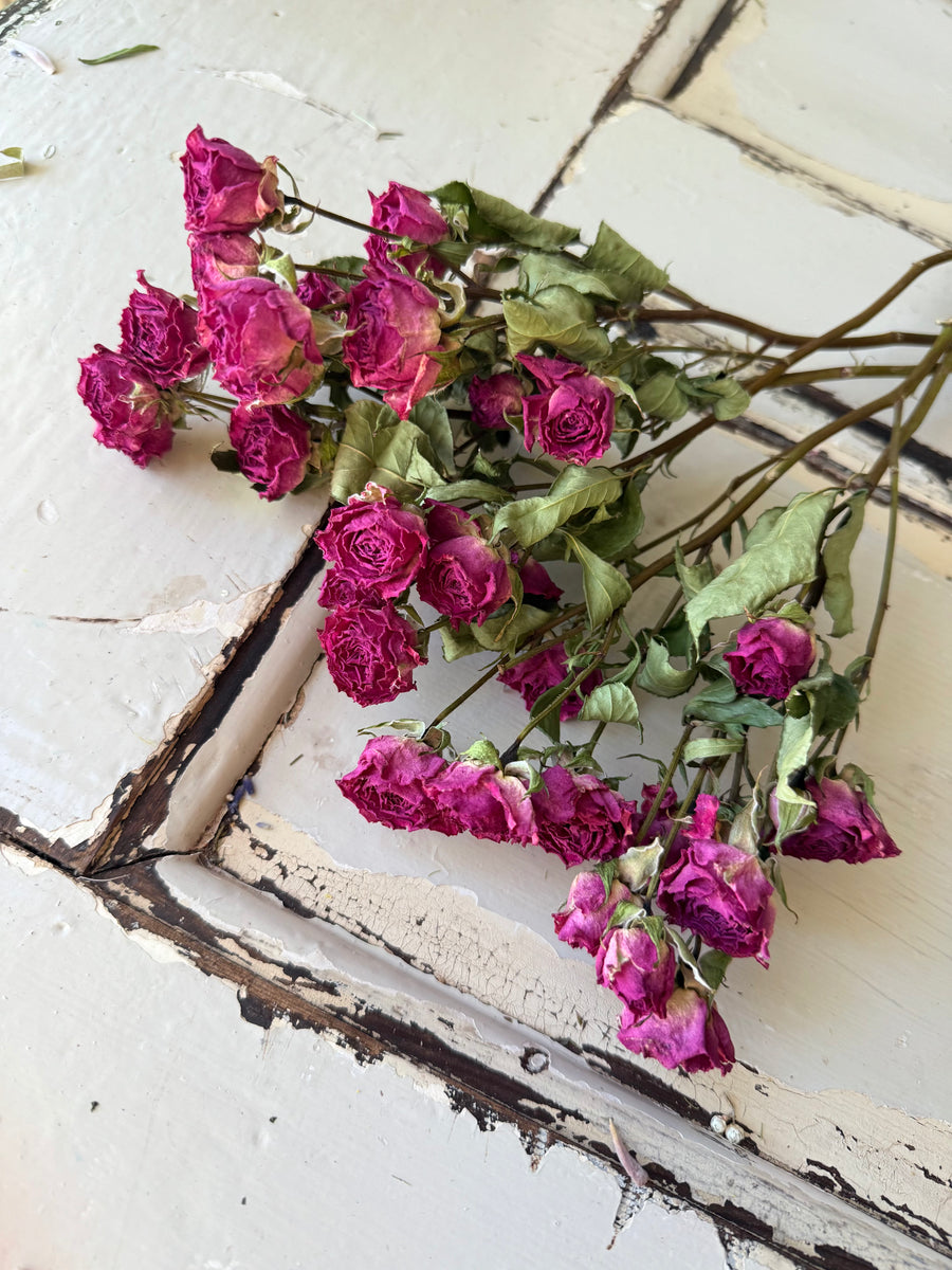 Naturally Dried Rose