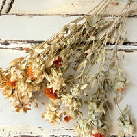 [Natural & Deep Colours] Outlet & Samples