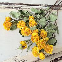 Dried Spray Mini Rose