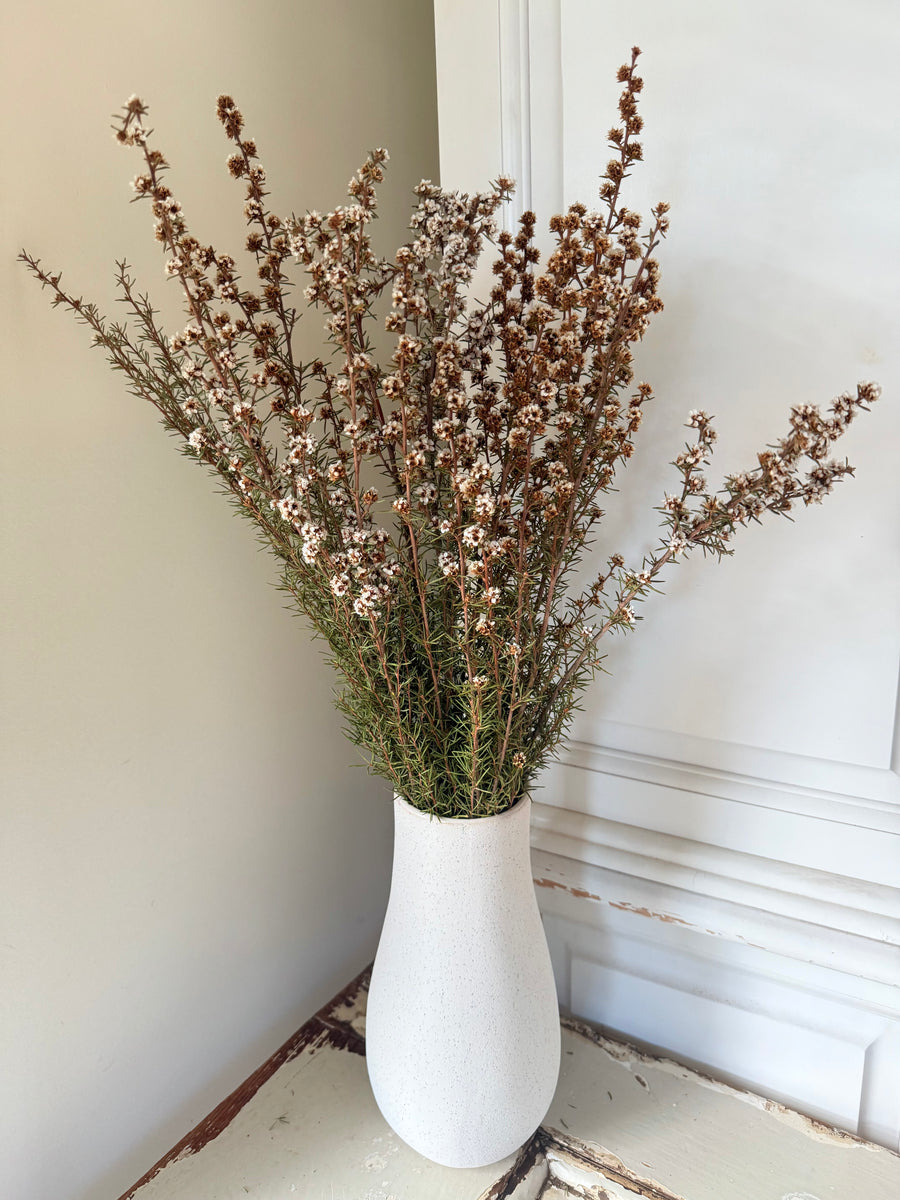 Naturally Dried Ti Tree / Tea Tree -  green white