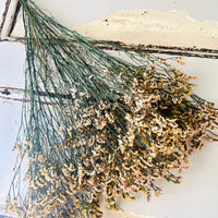 Preserved Crystal Grass / Caspea