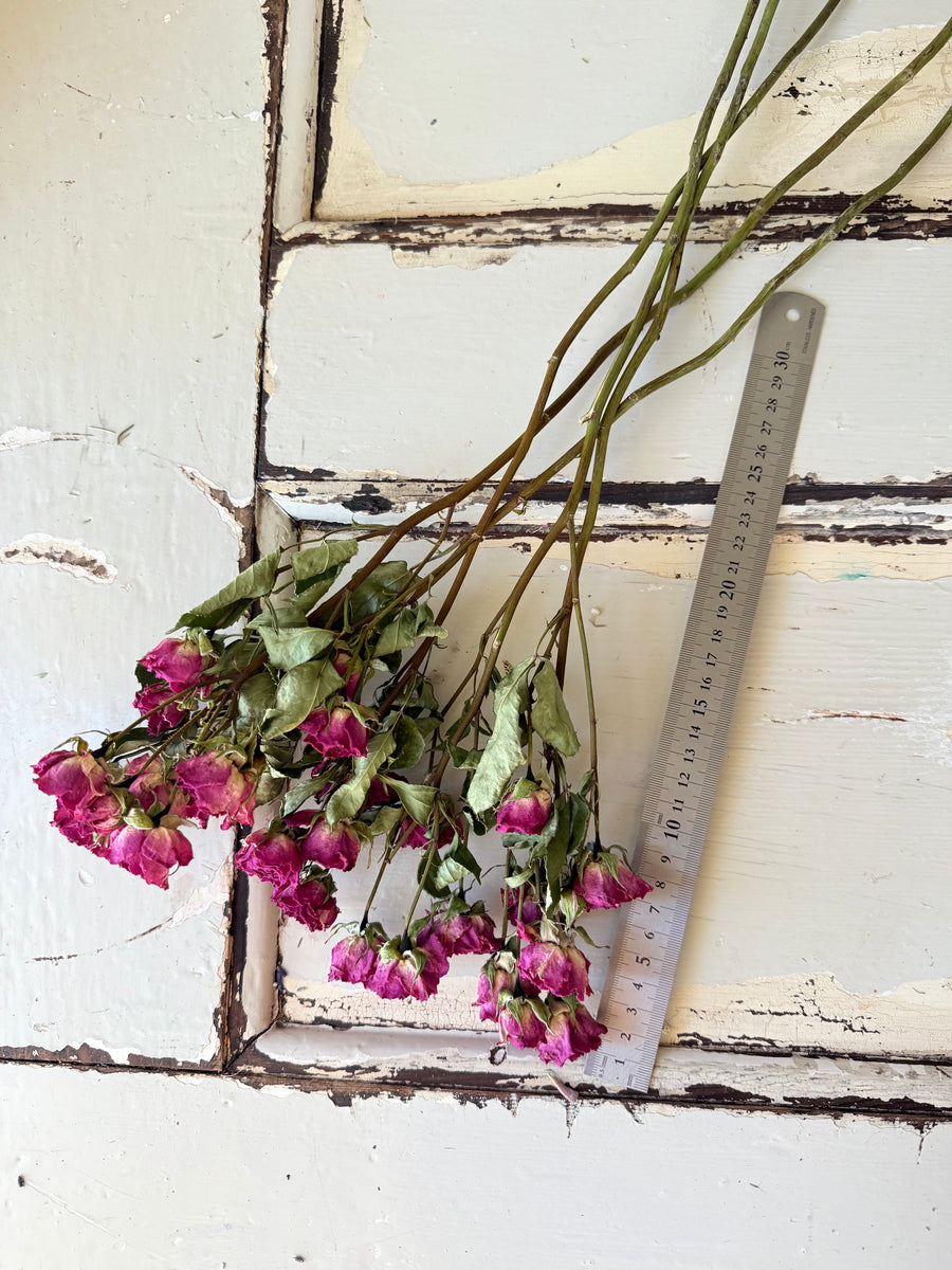 Naturally Dried Rose