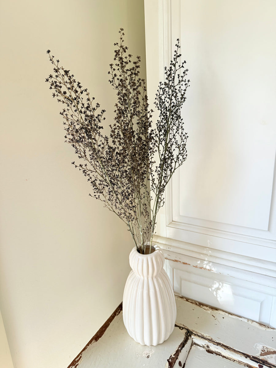 Naturally Dried Strillingia - without pods