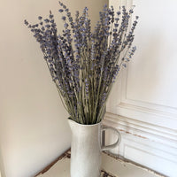 Dried Lavender bunch - blue purple
