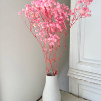 Preserved Baby's Breath