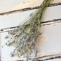 [Natural & Deep Colours] Outlet & Samples