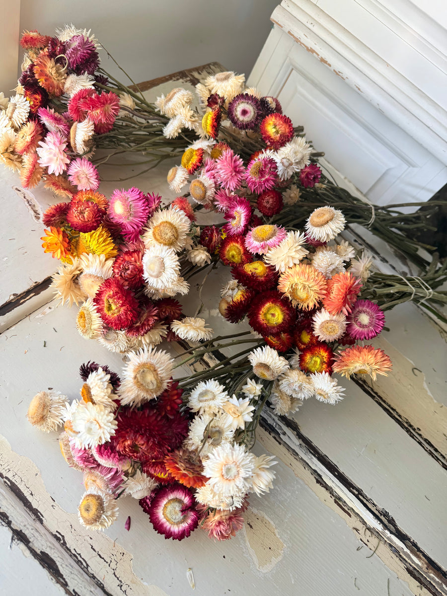 Naturally Dried Helichrysum - Everlasting / Paper Daisy / Strawflower - stems / heads