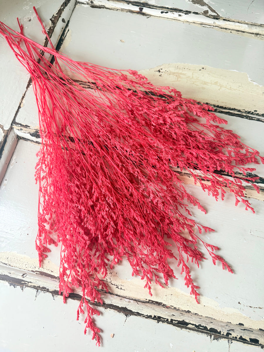 Soft / Vivid Hue Preserved Limonium | Misty | Sea Lavender