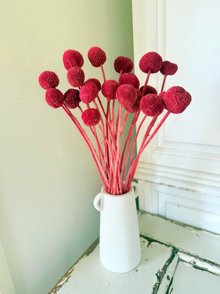 Outlet & Sample [flower stems / greenery]